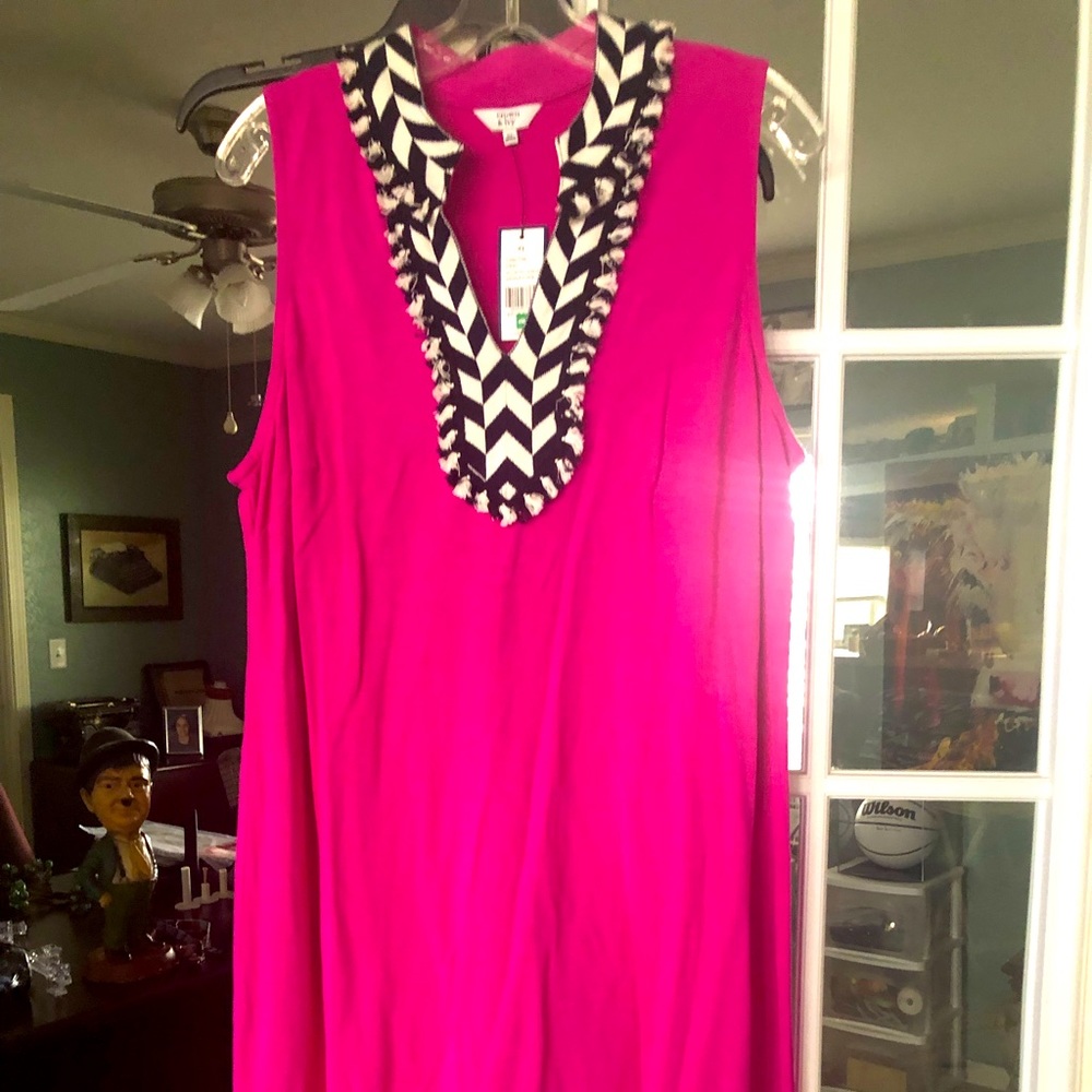Crown & Ivy sleeveless V-neck pink cotton dress